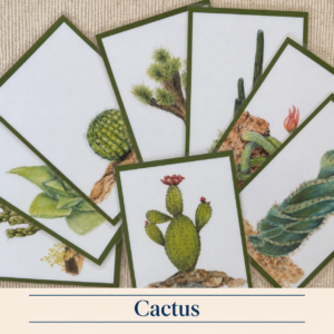 Cactus Language Cards