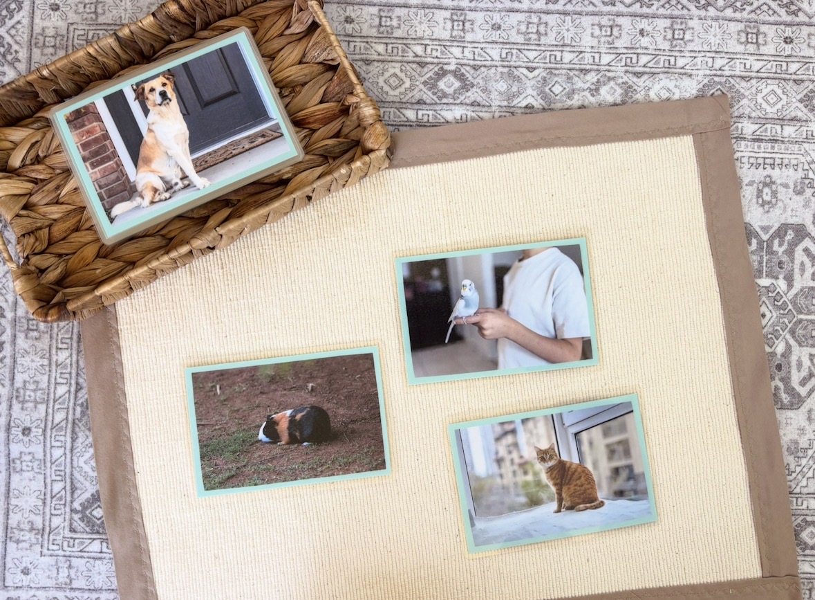 Pets (Photograph) Language Cards - Image 4