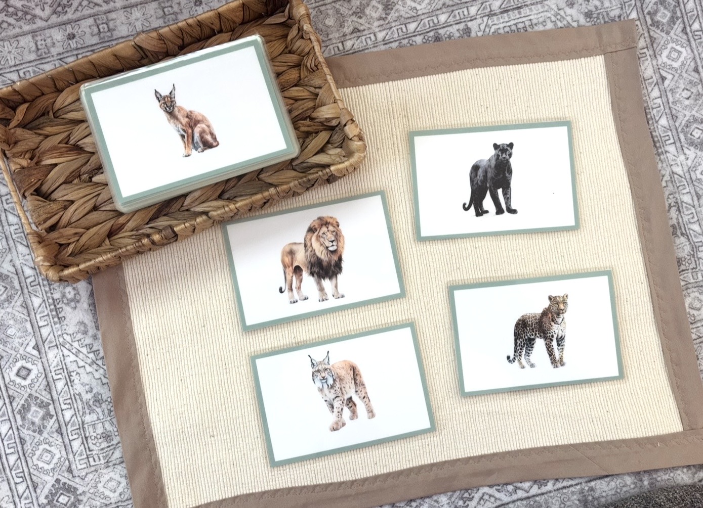 Large Cats Language Cards - Image 7
