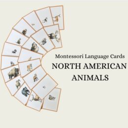 Farm Animals Language Cards
