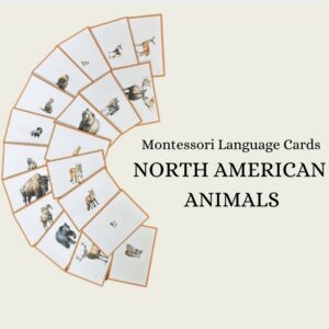 North American Animal Language Cards