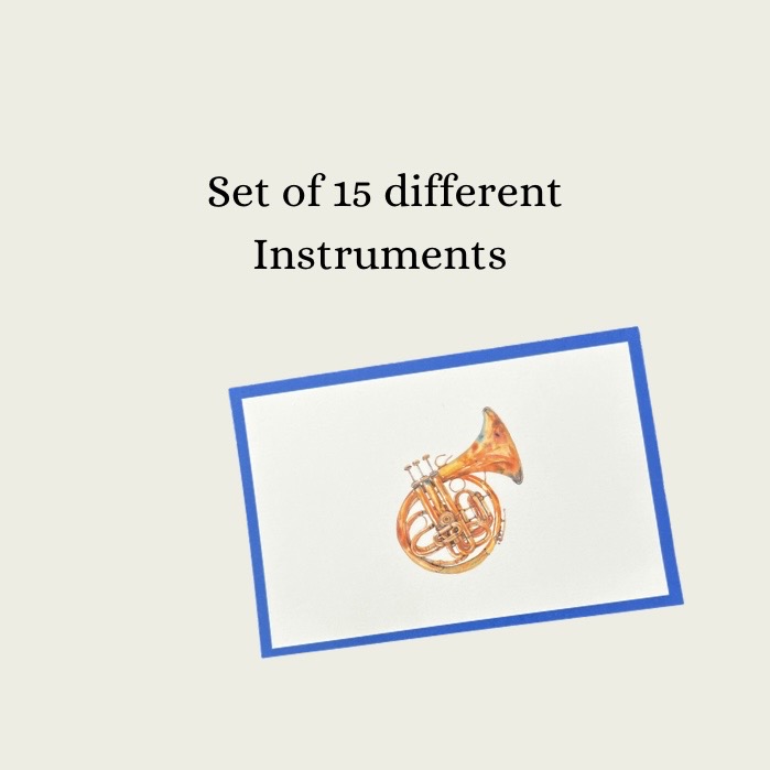 Instrument Language Cards - Image 5