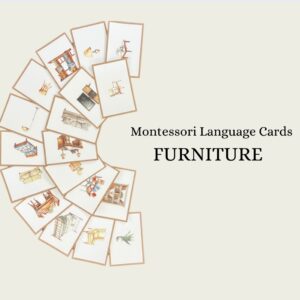 Furniture Language Cards