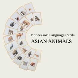 Camping Language Cards