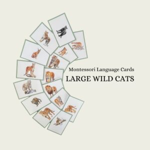 Large Cats Language Cards