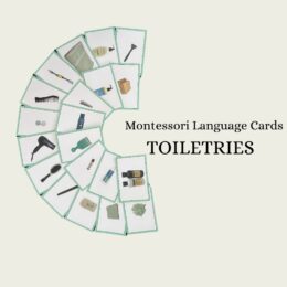 Tools (Photograph) Language Cards