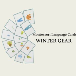 Winter Gear Language Cards