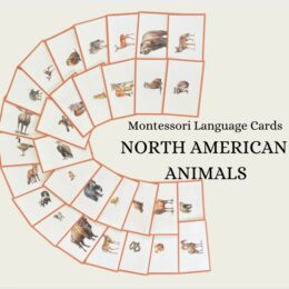 Farm Animals Language Cards