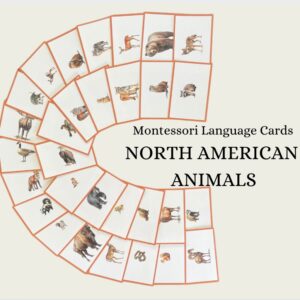 North American Animal Language Cards