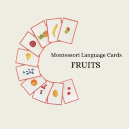 Winter Gear Language Cards