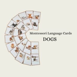 Toiletries (Photograph) Language Cards