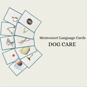 Dog Care (Photograph) Language Cards