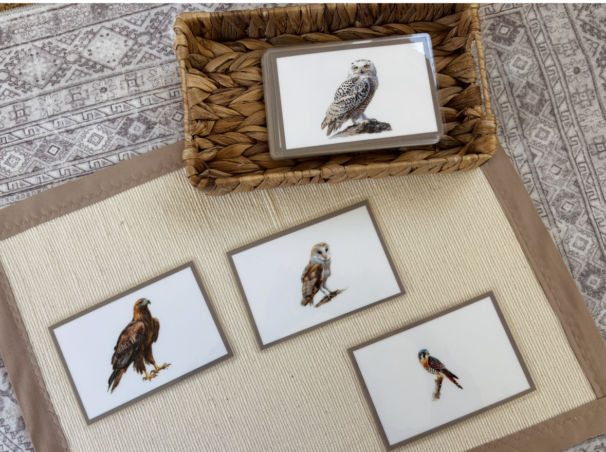 Birds of Prey Language Cards - Image 5