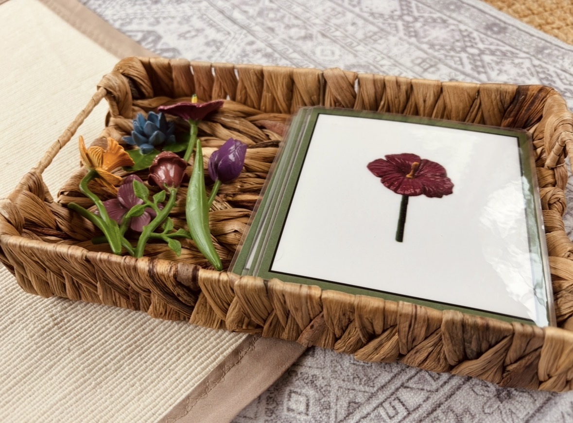 Flower Exact Object & Card Set - Image 5