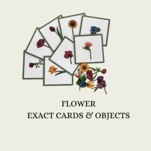 Flower Exact Object & Card Set