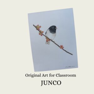 Artwork: Junco