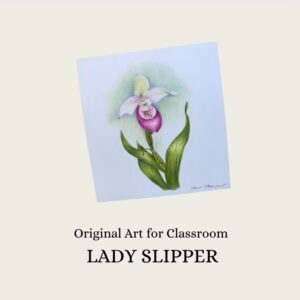 Artwork: Lady Slipper