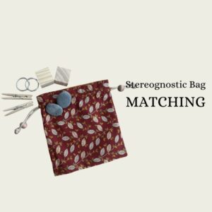 Stereognostic Bag (Matching)