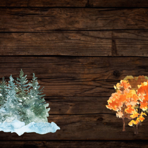 Seasonal shapes strips and envelopes