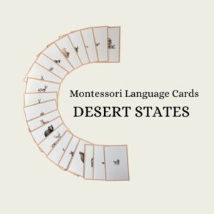 Desert States Language Cards