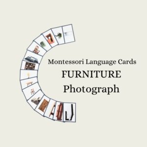 Furniture (Photograph) Language Cards