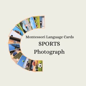 Sports (Photograph) Language Cards