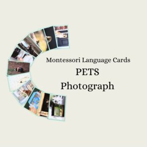 Pets (Photograph) Language Cards