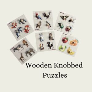 Wooden Knobbed Puzzle