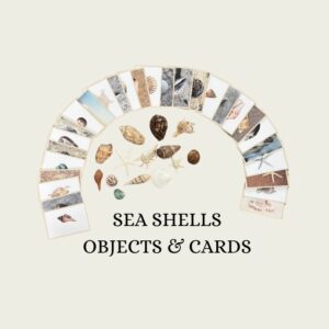Sea Shell Object & Card Set
