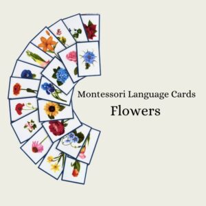 Flower Language Cards